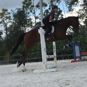 Meet your Posher, Kelli